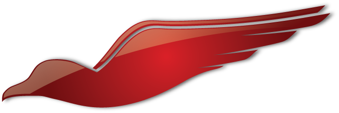 Redbird Flight Simulations